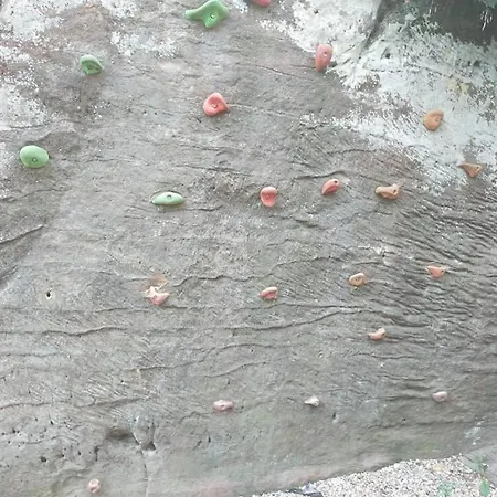 U Housenky * Klokoci